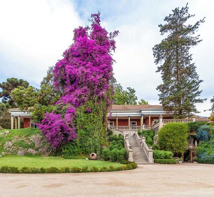 Fotografía 16 de Hotel Casa Real-Viña Santa Rita en Buin, Metropolitana